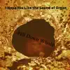 Fall Down Whole - I Hope You Like the Sound of Organ